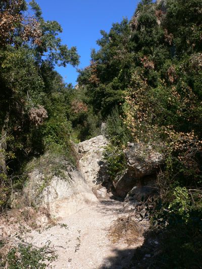 Subiendo por el torrente 