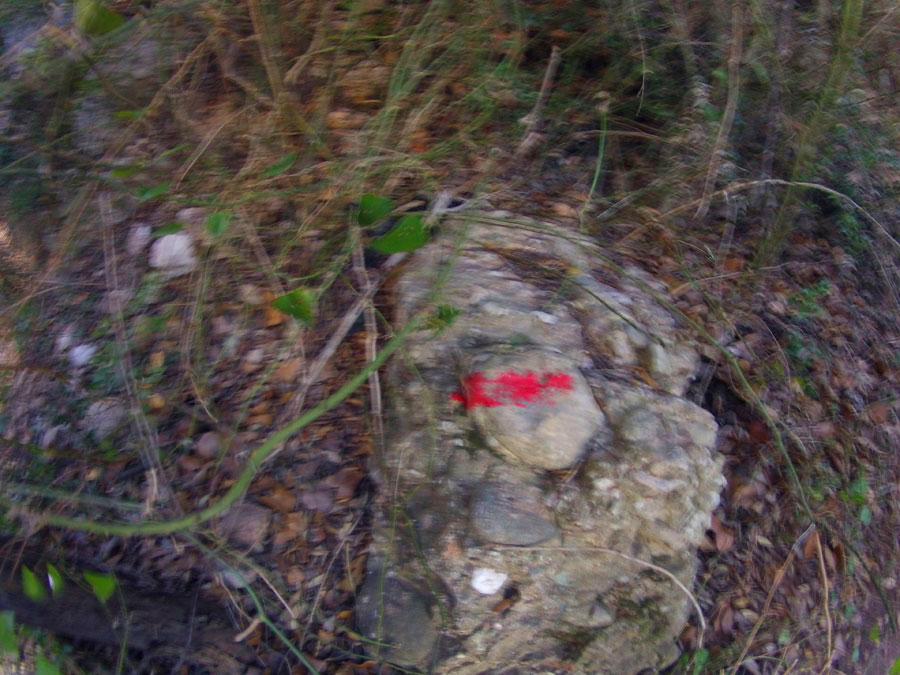 Seguimos la marcas rojas 