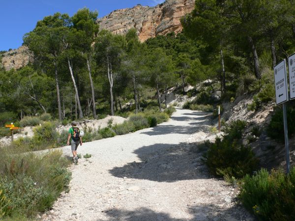 Nos cruzamos con una pista más ancha que sube -seguimos indicadores al Mirador- 