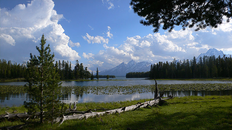 Las Tetons 