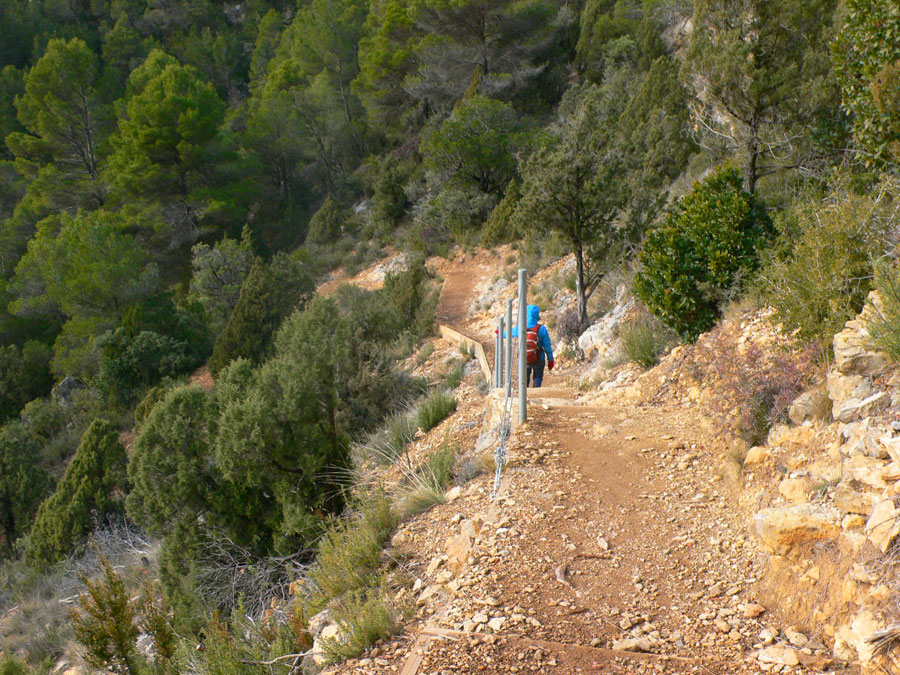 Camino de tierra transición entre las dos pasarelas 