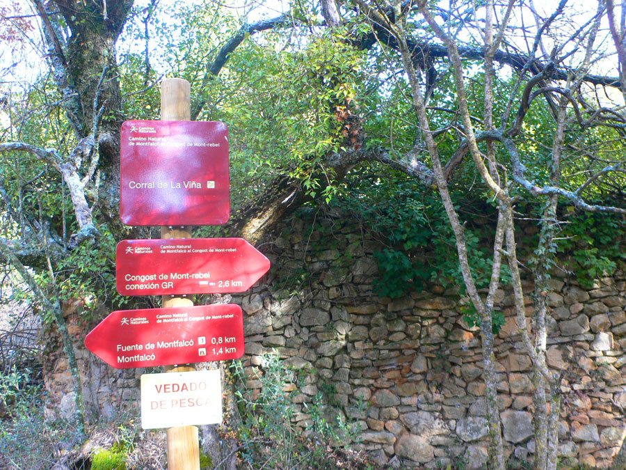 Ruinas del corral de la Viña 