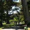 Entrando al Golden Gate Park / Ruta en Bici San Francisco | Golden Gate | Sausalito 
