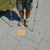 En Sant Cugat indicador de la concha típica del Camino de Santiago / Ruta a pie De Barcelona a Sant Cugat por el camino de Santiago 