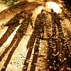 Juego de sombras sobre la tierra roja / Ruta a pie El volcán Croscat y La Fageda 