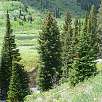 Entramos al Moose Ponds -una ampliación del camino para ver fauna salvaje- / Ruta a pie Grand Teton National Park | Vuelta al lago Jenny 