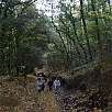 Primeras rampas / Ruta a pie Santa Margarida y la Fageda 