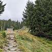 Una puerta nos da acceso a unas escaleras / Ruta a pie Sendero familiar por el río Flem | Suiza 