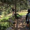 Pasarelas de equilibrio -los padres pueden seguir la aventura a pie- 