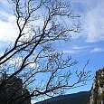 Salimos de la primera pared -vistas a la cima de l`Empalomar- 