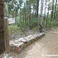 Camino de regreso 