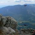 Descansando en la cima con compañía 