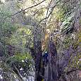 Paso encajonado en el Pou de Gorges 