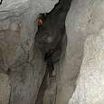 Subiendo por la cueva (© Carlos Cordero) 