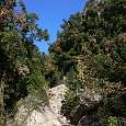 Subiendo por el torrente 