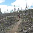 Zona de bosque devastada de camino a Little Devils Tower 