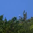 Detalle Luna 