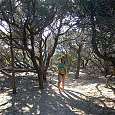 Bosque bajo y dunas 