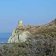 Torre Genovesa 