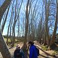 Camino del Caganell junto al torrente 
