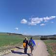 Pista de camino a Torre d