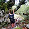 Sube y baja en el bosque de Palomberu 