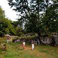 Prados rodeados de piedras y árboles 