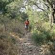 Subiendo entre hayas y pinos 