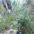 Continuamos bajando por el barranco de la Fuente 