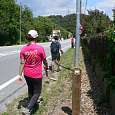 Cruzamos la carretera de l´Arrabassada siguiendo el PR señalizado 