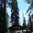 Inicio del Sherman tree trail 