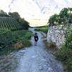 Camino de regreso entre viñedos / Farinetta | Saillon 