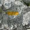 Seguimos las marcas amarillas hasta la misma cima del Pedraforca -Pollegó Superior- / Pedraforca | Cima del Calderer 