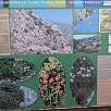 Panel informativo con la flora de la zona / Ruta Roja al Peñón de Ifach 