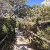 El camino es estrecho va subiendo por el bosque en zigzags / Ruta Roja al Peñón de Ifach 