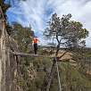 Paso de la viga en el árbol / Roca Llisa 