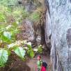 El camino está bien señalizado / Wayna Picchu (Huayna Picchu) 
