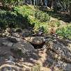 Colonia de marmotas comiendo el menú del día / Ruta a pie Parque de animales de les Angles 