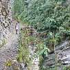 Camino de regreso a Cocachimba / Ruta a pie Catarata Gocta 
