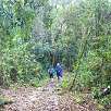En la selva viven varias especies de monos e incluso el escurridizo Puma concolor / Ruta a pie Catarata Gocta 