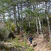Bajando por el bosque en busca del barranco de Chimiachas / Ruta a pie El Ciervo de Chimiachas 