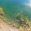 Agua clara y peces en el estanque / Ruta a pie Estanys de Basturs 