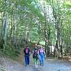 Subiendo por el Bois d Arribama un tupido bosque de hayas / Ruta a pie Grande Cascade | Gavarnie 