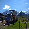 Otra vista de la vaca con el Jungfrau y el Eiger al fondo / Ruta a pie Suiza. Senderismo familiar al pie del Eiger 
