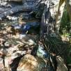 Surgencia bajo un árbol y escaleras cerca del nacimiento / Ruta a pie Nacimiento del río Cuervo | SL-CU 14 