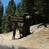 Cartel de entrada al Sequoia National Park / Ruta a pie Sequoia National Park | Bosque gigante de secuoyas  