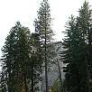 Nos acercamos a Moro Rock / Ruta a pie Sequoia National Park | Bosque gigante de secuoyas  