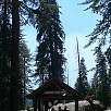 Inicio del Sherman tree trail / Ruta a pie Sequoia National Park | Bosque gigante de secuoyas  