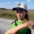 ¿Que comen los saltamontes de los Everglades? 