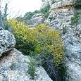 Pasamanos de acceso al huerto (© Montañismo para todos) 